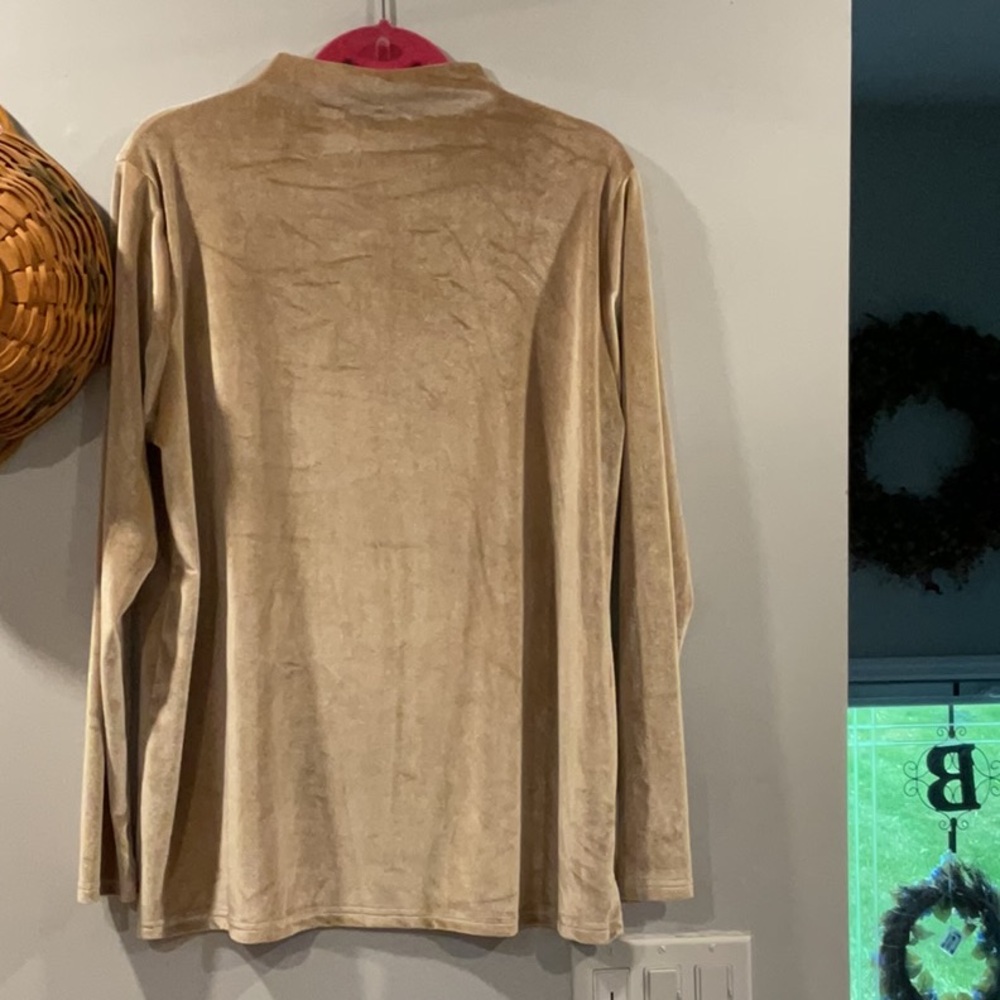 NWOT velvet/velour top
